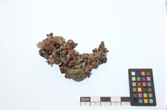 Foto von Kupfer Gediegen (NHMW-MIN-Ab6856)